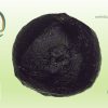 Micrometeoriet T20230804 - Afbeelding 2