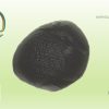 Micrometeoriet 029-01 - Afbeelding 2